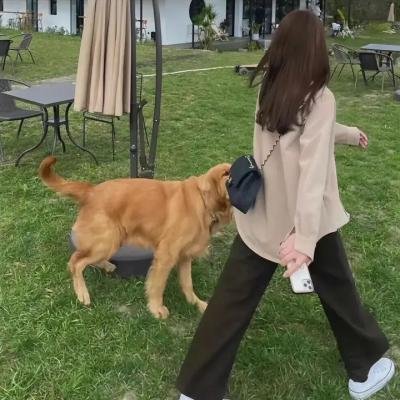 霓虹心