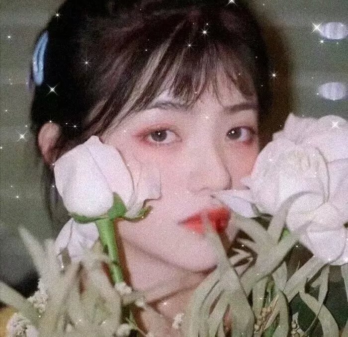 女皇的对手